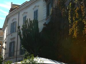 Foto dalla galleria di Domus Antonella a Trastevere a Roma