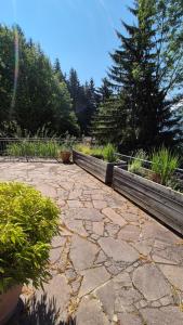 Zahrada ubytování Ferienwohnungen BergArt