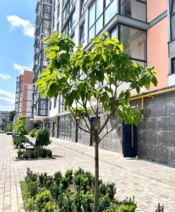 Hoone, kus apartement asub