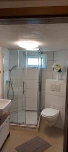 une salle de bain avec une douche, des toilettes et un lavabo dans l'établissement Ferienwohnung Bad Rotenfels, à Gaggenau