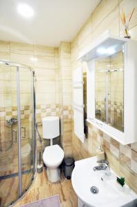 a bathroom with a toilet and a shower and a sink at Apartman Provansa in Vrnjačka Banja +14 photos