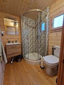 een badkamer met een douche, een toilet en een wastafel bij Domki Gajewo 2 in Gajewo