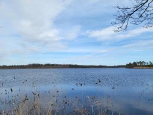 Billede fra billedgalleriet på Cherry Apartment i Madliena