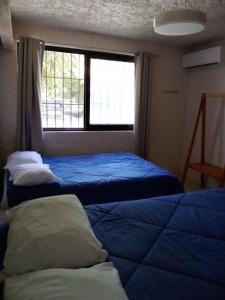Letto o letti in una camera di Naranjo Hostel