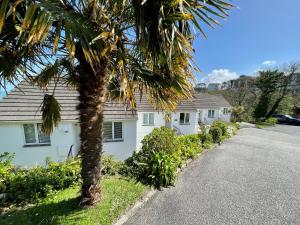 una palmera frente a una casa blanca en Millies, en St Ives