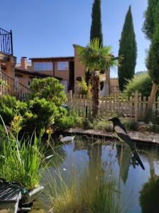 a bird flying over a pond in a garden at Casa Rural Valle del Duero in Langa de Duero +8 photos