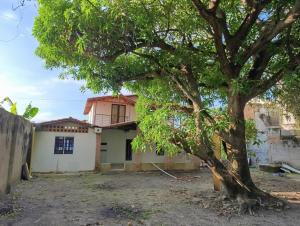 a tree in front of a house at Hostal Brisa y Mar in Arboletes