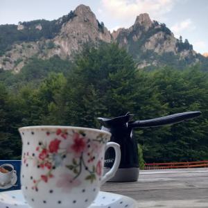 Φωτογραφία από το άλμπουμ του Prokletije Vucetic sobe σε Dolja