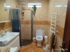 a bathroom with a shower and a toilet and a sink at Nr.42 in Palanga