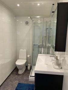 a bathroom with a toilet and a shower and a sink at 2 etasje leilighet med 2 soverom in Harstad