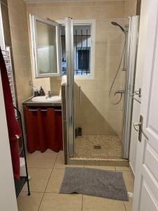 a bathroom with a shower and a sink at Bel appart - 3 ch Vallon pont d 'arc in Salavas