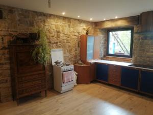 a kitchen with a stove and a stone wall at Silentium Domus in Gornje Vreme +65 photos