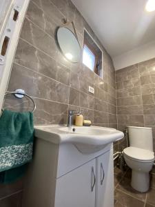 a bathroom with a sink and a mirror and a toilet at Žabljak- FamilyOasis in Žabljak