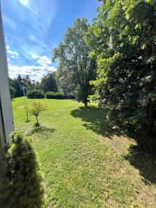 Blick auf einen Hof mit Bäumen und Gras in der Unterkunft Apartament u Buni in Breslau