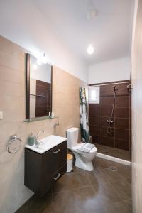 a bathroom with a toilet and a sink and a shower at Apricus1 in Apolpaina