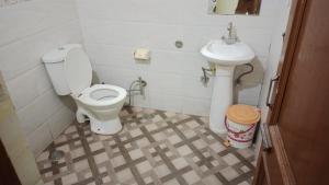 a bathroom with a toilet and a sink at Hotel The Diamond Ring 45B in Chandīgarh +3 photos