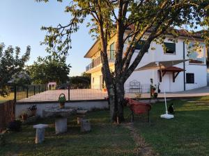 a house with a tree in the yard at Casa de Baixo in Paredes de Coura