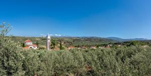 Příroda nedaleko vily