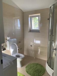 a bathroom with a toilet and a shower with a window at Apartman LIVE in Posedarje +22 photos
