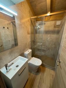 a bathroom with a toilet and a shower and a sink at Wooden Lodge in Osséja