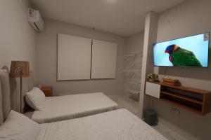 ein Zimmer mit einem Fernseher mit einem Papagei an der Wand in der Unterkunft Little House Para 3 Personas - Casa compartida in Santa Cruz de la Sierra