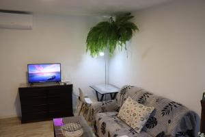 モンテビデオにあるALCA Apartamento exclusivo a 80 mts de Playa Pocitosのソファとテレビのあるリビングルーム +34枚の写真