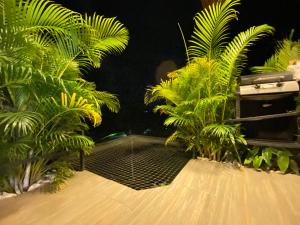 a patio with palm trees and a black grate at Verdes Hábitat Glamping in Palestina