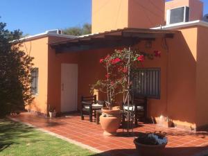 a patio of a house with a plant in a pot at Cepas del Valle - cabañas y suites in Chilecito