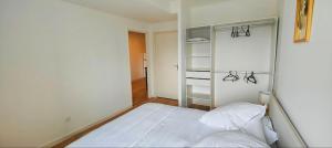 a bedroom with a bed and a book shelf at Joli Appart Le Moderne Design in Clermont-Ferrand