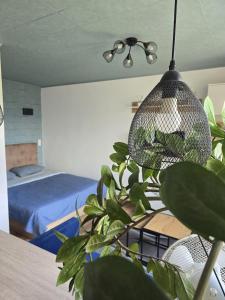 a bedroom with a bed and a potted plant at R&J Apartment II in Panevėžys +10 photos