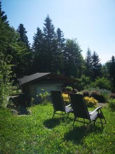 two chairs sitting in the grass in a yard at Śniegocinka 4 in Brenna