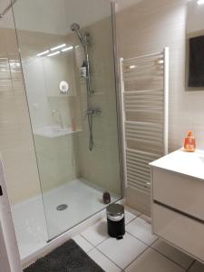 ein Badezimmer mit Dusche und Waschbecken in der Unterkunft Les pieds dans l'eau in San-Nicolao