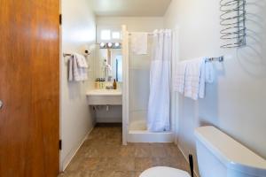 un bagno con doccia, WC e lavandino di Ala Cozy Motel a Coulee City Altre 8 foto
