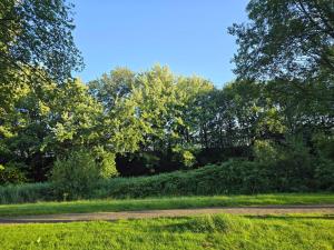 a park with trees and a dirt road at ZM Tilburg in Tilburg +4 photos