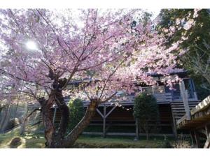 a tree with pink flowers in front of a house at Hotel Shiki no Kura - Vacation STAY 29696v in Kawazu