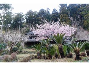 a garden with pink flowering trees in front of a building at Hotel Shiki no Kura - Vacation STAY 29696v in Kawazu