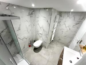 バッス・ユッツにあるAppartement Cosyのトイレとシャワー付きの白いバスルーム +6枚の写真