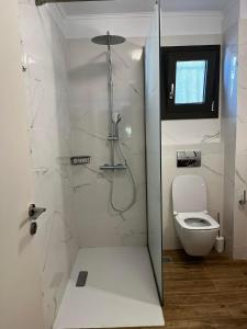 a bathroom with a shower and a toilet at Platanos House - Akritochori Foinikountas in Akritokhórion