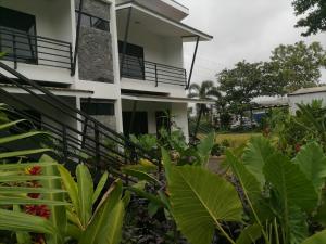 MuelleScala Inn的前面有绿色植物的建筑