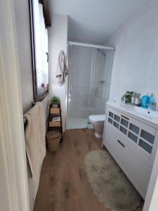 Un baño con ducha, inodoro y lavabo. en Villa Quelle, en Sieiro 44 fotos más