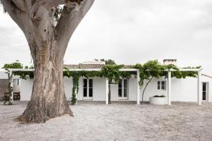 a white house with a tree in front of it at Monte dos Coureleiros in Castelo de Vide