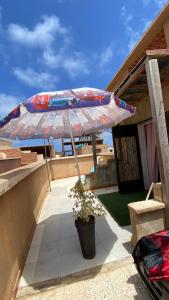 Fotografie z fotogalerie ubytování Zaki v destinaci Ain el Turk