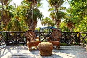 Zahrada ubytování Alquimia Hotel Boutique
