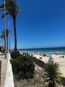 una playa con una palmera y el océano en Casa Victor, en San Pedro del Pinatar