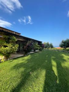 un cortile con prato verde e una casa di La BouganVillea a Francavilla al Mare