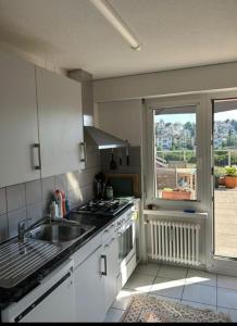 a kitchen with a sink and a window with a view at Rooftop ink Parking in Lucerne +8 photos