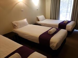 a hotel room with three beds and a window at Balranald Motor Inn in Balranald +4 photos