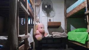 Kép Hostal Cafe Axel szállásáról Bocas Townban a galériában