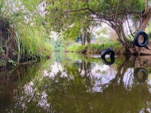 Vista sul fiume nelle vicinanze dell'affittacamere