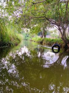 Paesaggio naturale nelle vicinanze dell'affittacamere